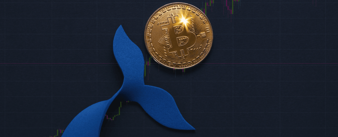 A Whale Buys $200 Million Worth of Bitcoin! What Does This Mean for the Market?