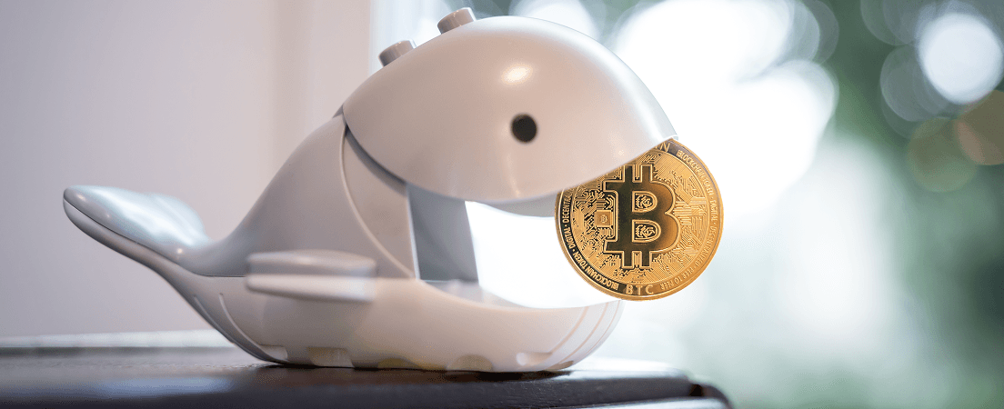 Bitcoin Whales Resurface: Over $2 Billion in BTC Moved After 14-Year Dormancy