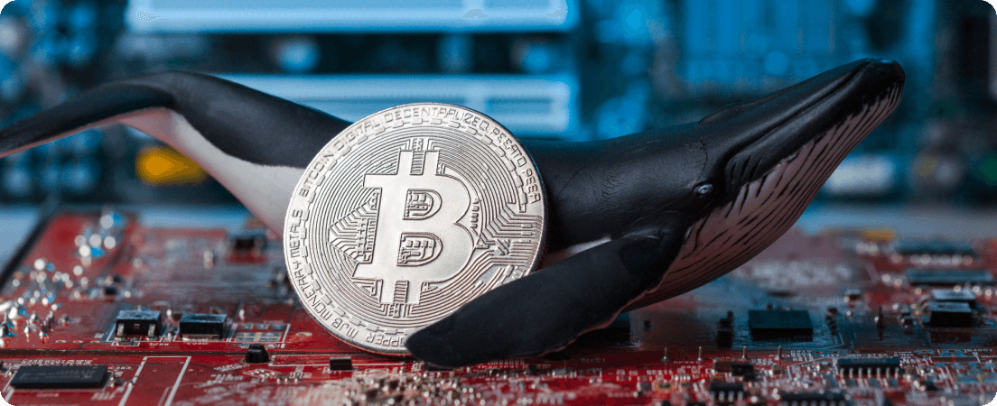 Bitcoin slips below $86,000 as whale selling overwhelms dip buyers