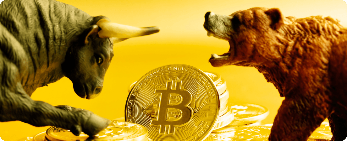 Crypto heeft alle ingrediënten voor een bullmarkt, maar de prijzen blijven dalen